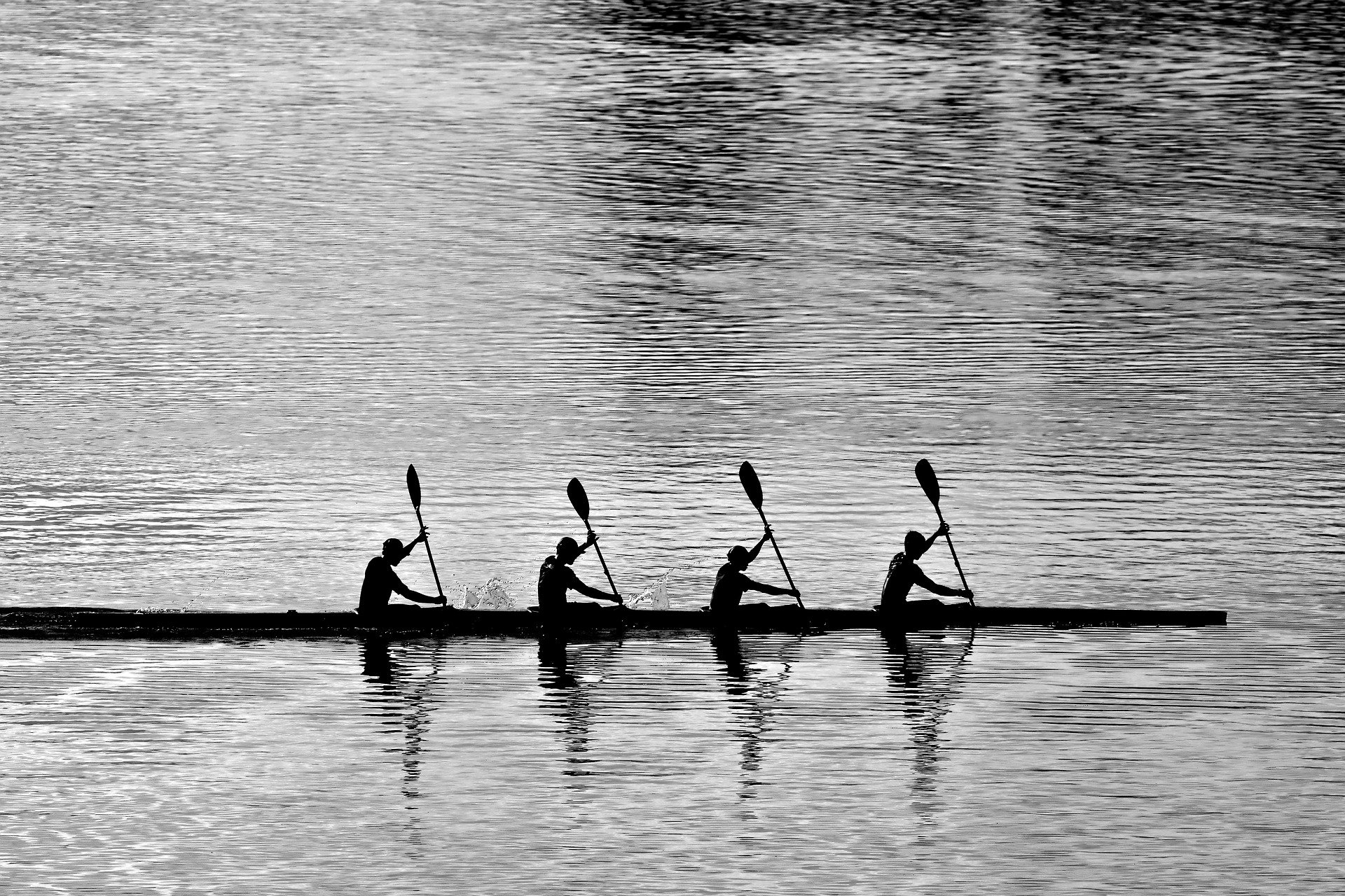 Team rowing together representing collaborative work style